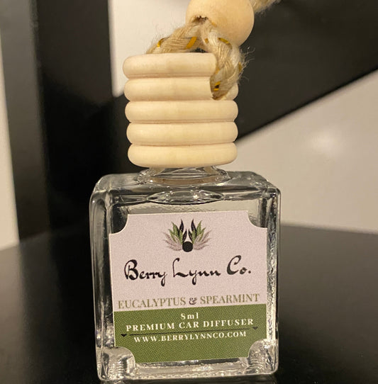 Eucalyptus & Spearmint Car Diffuser